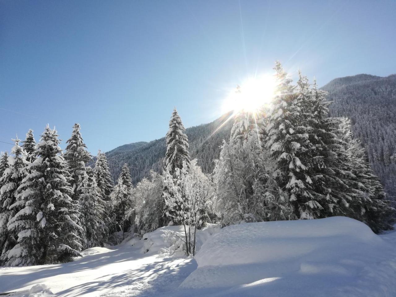 Weitlaner Birgit Daire Sillian Dış mekan fotoğraf