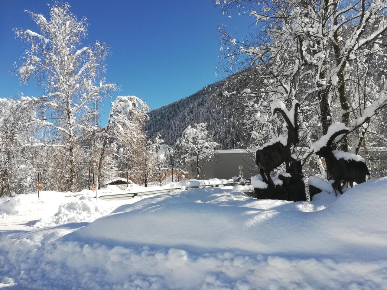 Weitlaner Birgit Daire Sillian Dış mekan fotoğraf